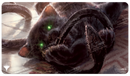 Ultra Pro Playmat MTG Battle For Baldur's Gate Displacer Kitten