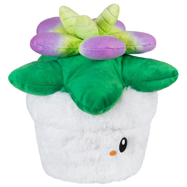 Squishable Mini Succulent 7"