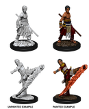 D&D Nolzur's Marvelous Miniatures: Half-Elf Monk