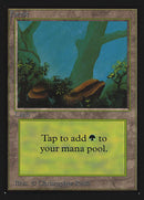 Forest (Rocks)(IE) [Intl. Collectors’ Edition]