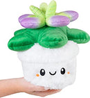 Squishable Mini Succulent 7"