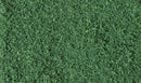 Coarse Turf Conifer