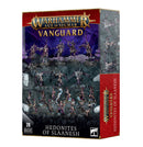 Vanguard Hedonites Of Slaanesh