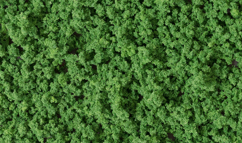Medium Green Underbush