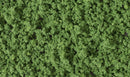 Forest Green Underbush