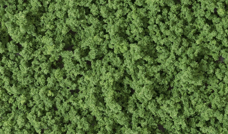 Forest Green Underbush