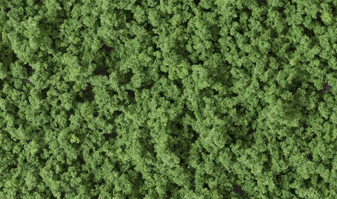 Forest Green Underbush
