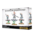 Disciples Of Tzeentch Tzaangor Enlightened