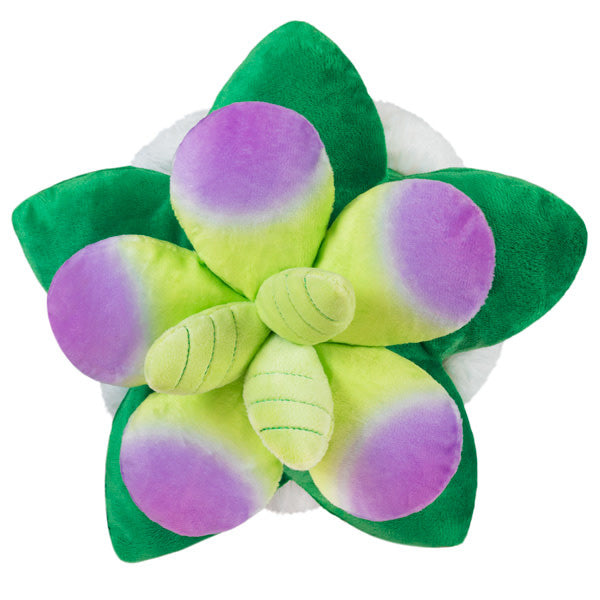 Squishable Mini Succulent 7"